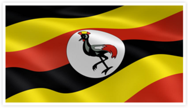 Simple Tax Guide for Americans in Uganda