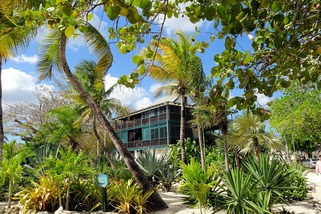Cayman Islands taxes for US expats: what Americans need to know