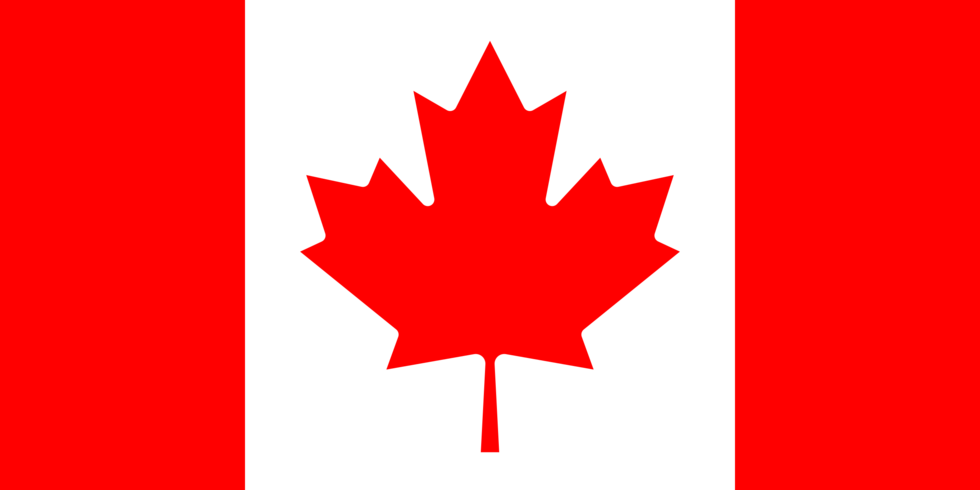 Tax Guide for Canadian Expats in the United States