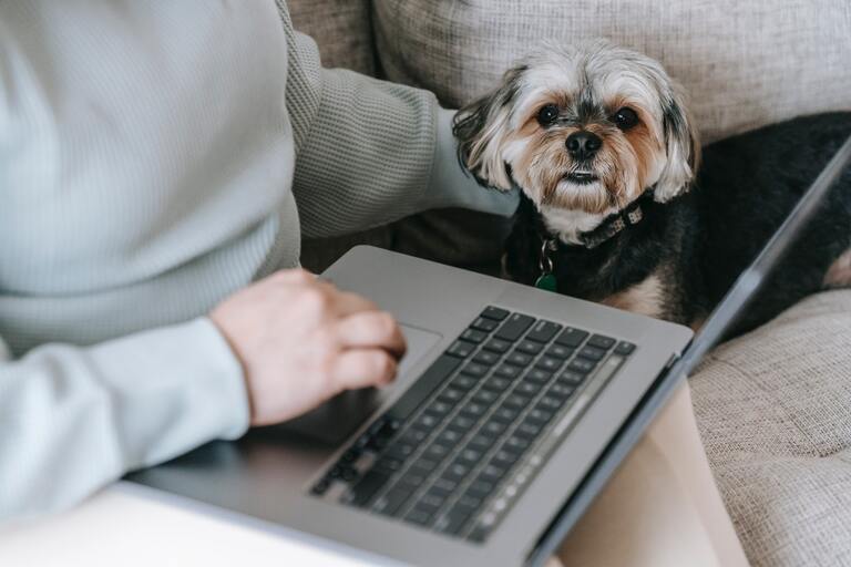 Top 10 Self-Employed Write-Offs You Should Know When Filing Taxes
