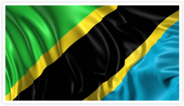 Simple Tax Guide for Americans in Tanzania