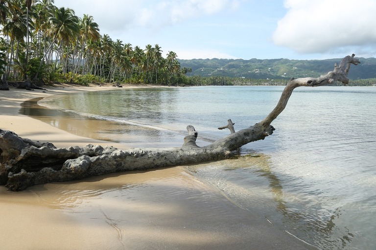 Las Terrenas